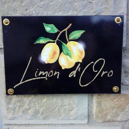 Limon D'Oro Villa Monte San Savino Dış mekan fotoğraf
